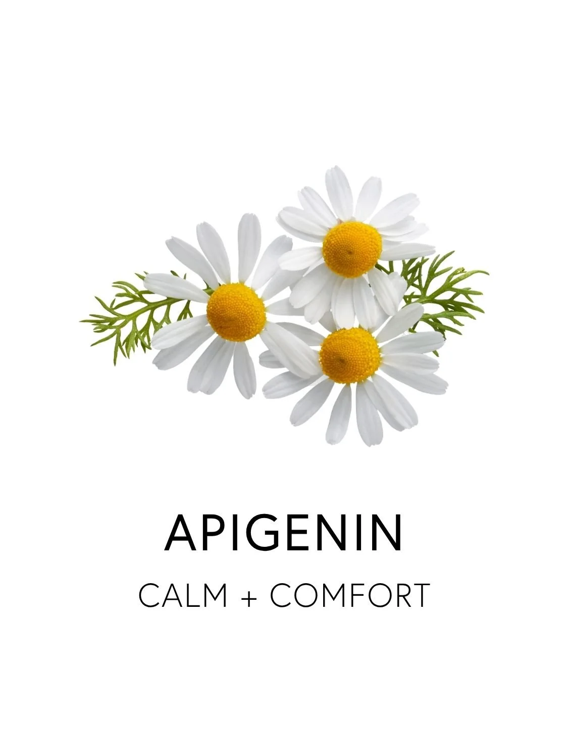  APIGENIN 
  Apigenin is a calming flavonoid that soothes digestive tension and quells inflammation throughout the gut and nervous system. Found abundantly in chamomile flowers, the tea’s classic soothing effect is largely due to apigenin’s influence