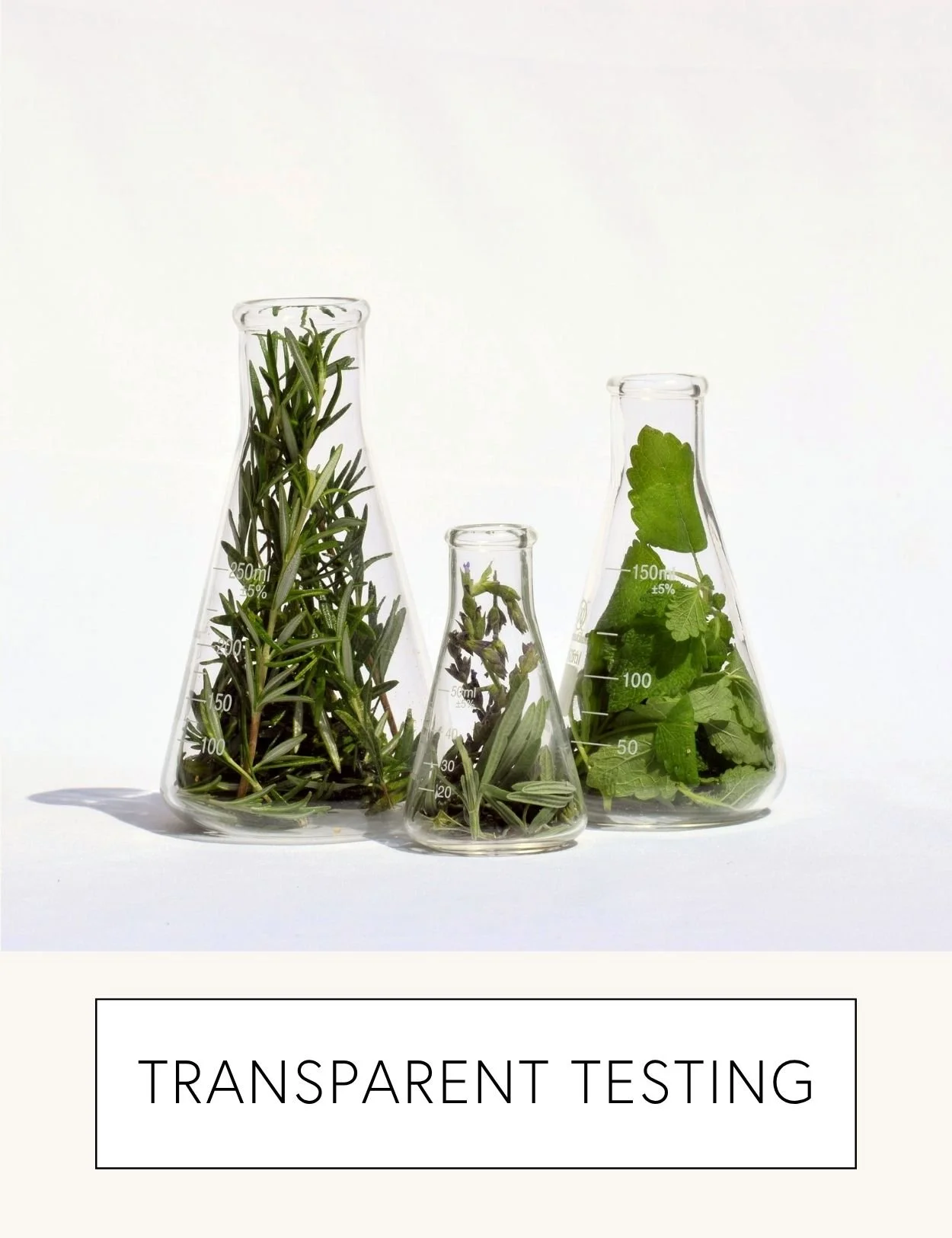  TRANSPARENT TESTING 
 Each formula is tested three times: when raw materials are received, during production and as a final product. 

Internal and 3rd party testing is conducted, including microbiological screening, physical testing, identity testi