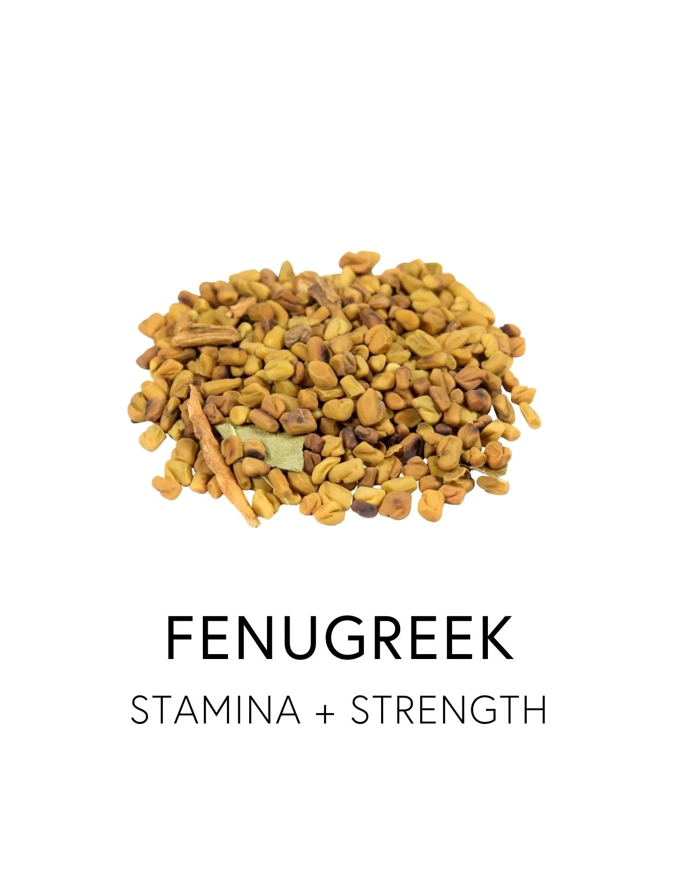  FENUGREEK 
 Fenugreek supports male hormone balance by promoting natural testosterone production, physical strength, and metabolic vitality. Its seeds contain saponins, compounds shown to support free testosterone levels, improve insulin sensitivity