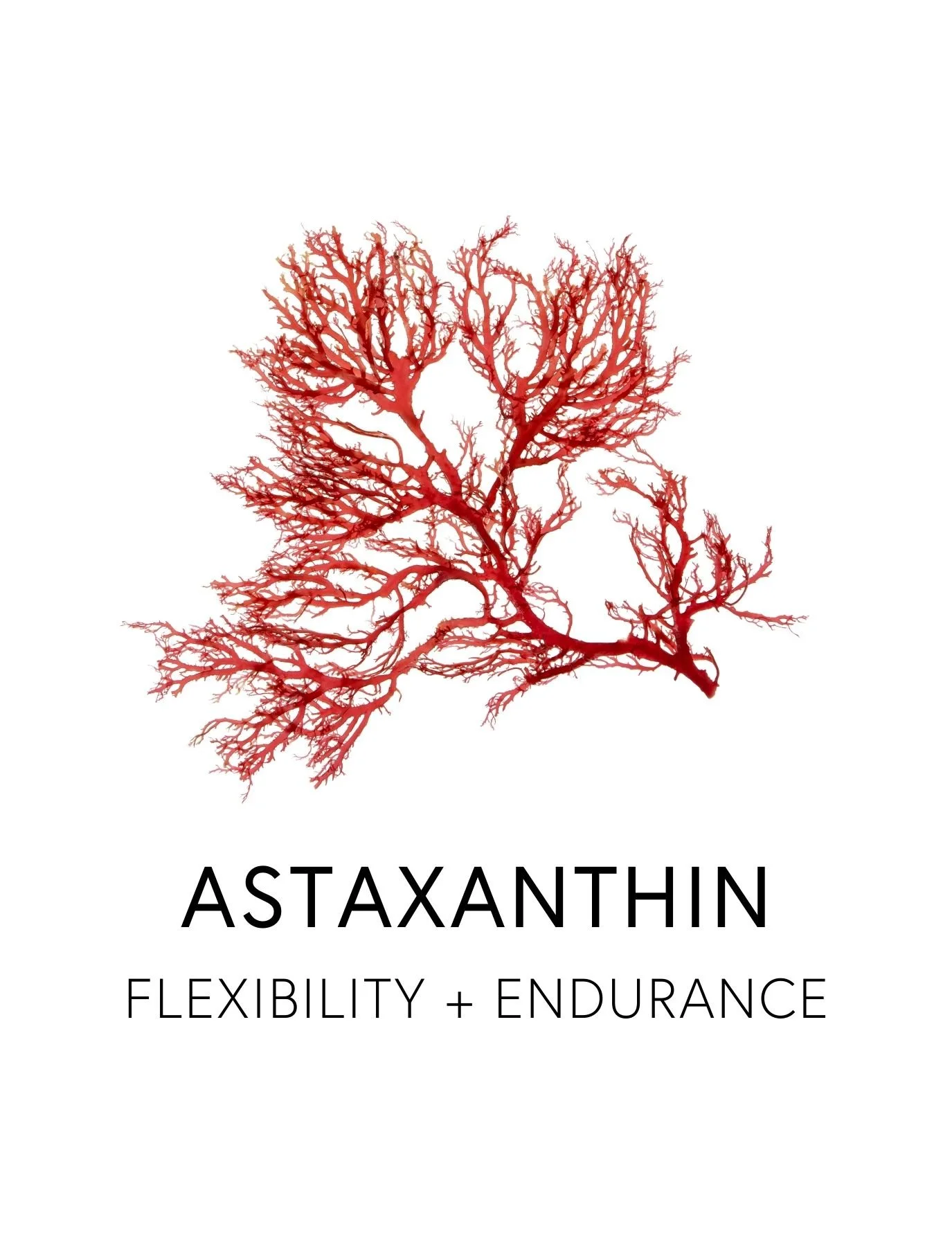  ASTAXANTHIN 
 Astaxanthin supports mobility, flexibility, and recovery by calming oxidative inflammation that wears down joints over time. Its unique molecular structure allows it to anchor across the lipid bilayer of cells, protecting both the inte