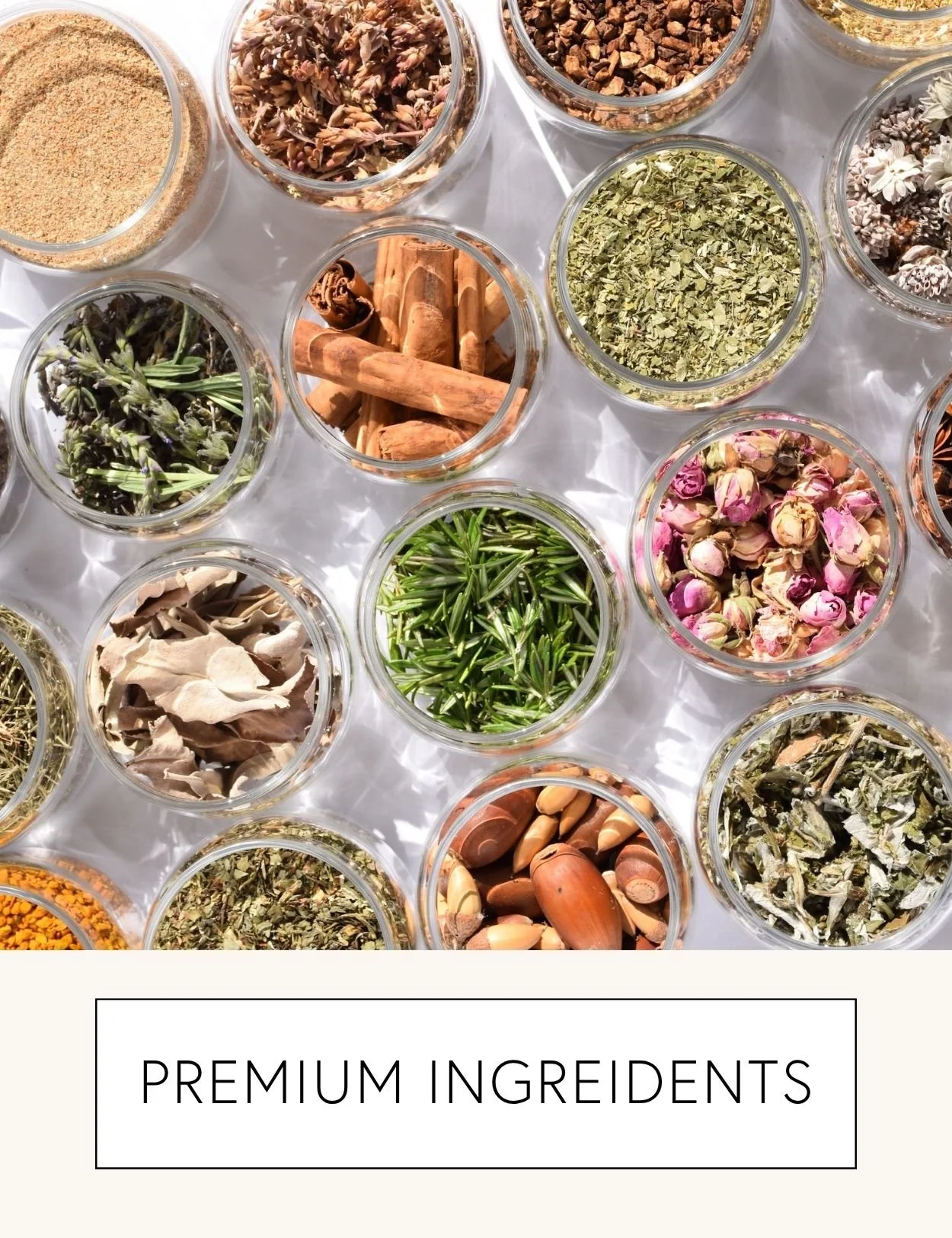 PREMIUM INGREDIENTS 
 Our formulas are made with only the highest quality, most bioavailable ingredients, meticulously sourced from only the top European, North American and worldwide suppliers. 

Each professional grade ingredient is 100% free from