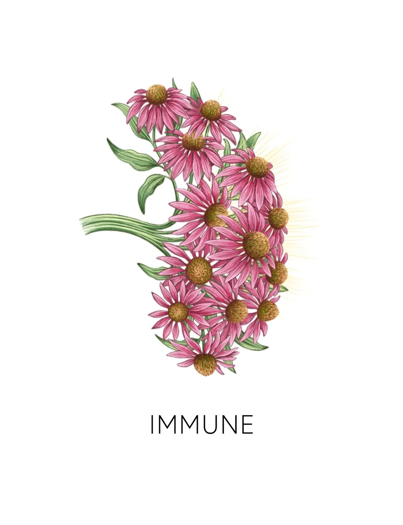  IMMUNE  
 We offer 9 deeper biomarkers and labs to measure how well your body is detoxing. From environmental toxin levels to chemical reactivity screenings, these measurements give us real data into how your body's biotransformation pathways are fu
