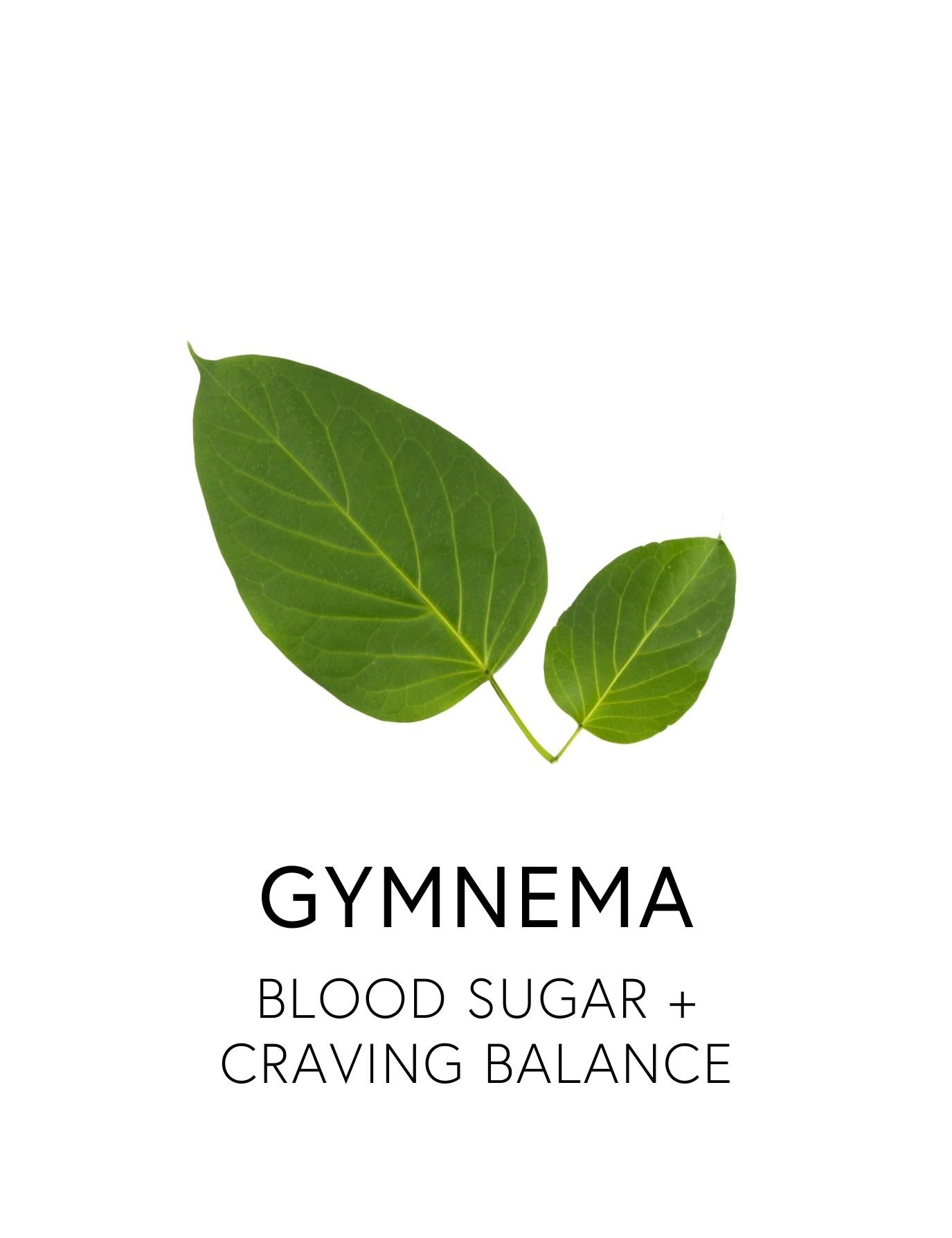 GYMNEMA 
 Gymnema supports metabolic balance by helping regulate sugar cravings. Its signature compounds, gymnemic acids, interact with sweet taste receptors and influence glucose absorption and insulin pathways.  This helps the body interpret sugar