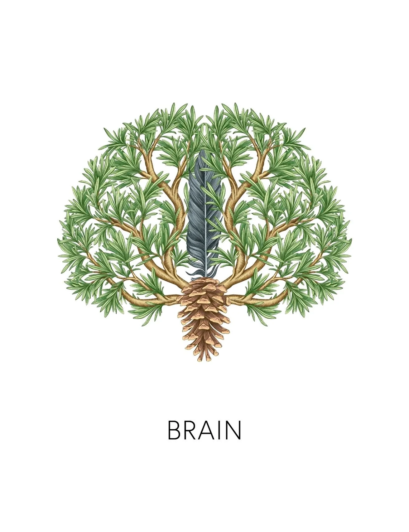  BRAIN  
 We offer 9 deeper biomarkers and labs to measure how well your body is detoxing. From environmental toxin levels to chemical reactivity screenings, these measurements give us real data into how your body's biotransformation pathways are fun