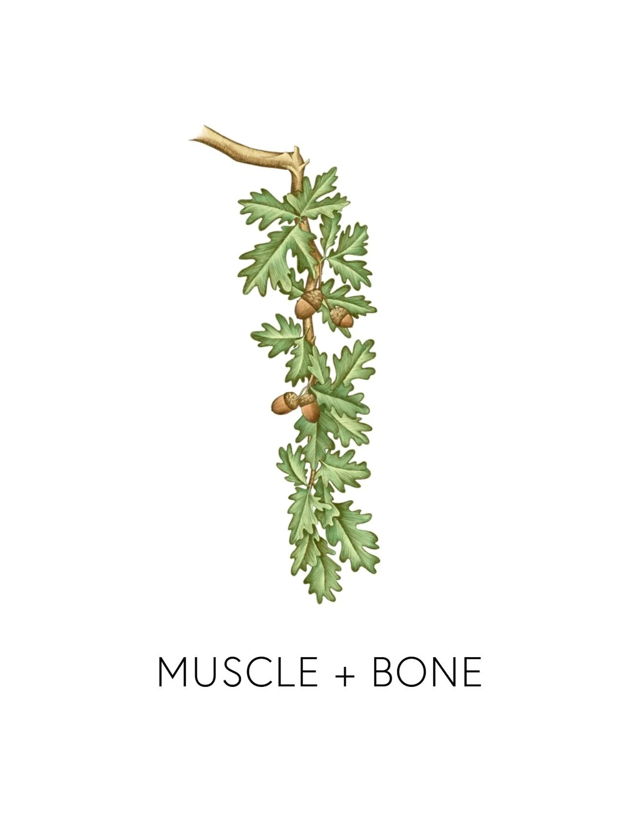  MUSCLE + BONE  
 We offer 9 deeper biomarkers and labs to measure how well your body is detoxing. From environmental toxin levels to chemical reactivity screenings, these measurements give us real data into how your body's biotransformation pathways