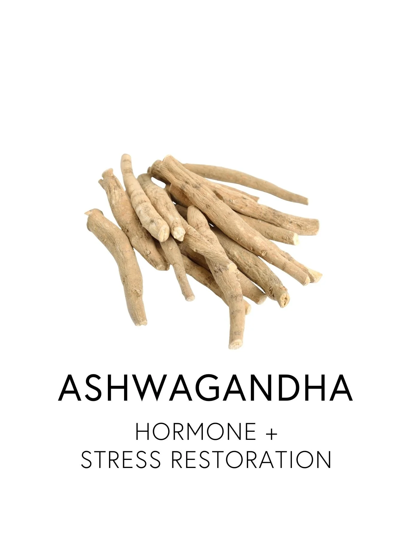  ASHWAGANDHA 
 Ashwagandha promotes hormonal resilience by reducing stress and restoring energy and stamina.  Its withanolides have been shown to lower cortisol, improve DHEA and testosterone ratios, support thyroid function, and improves sperm quali
