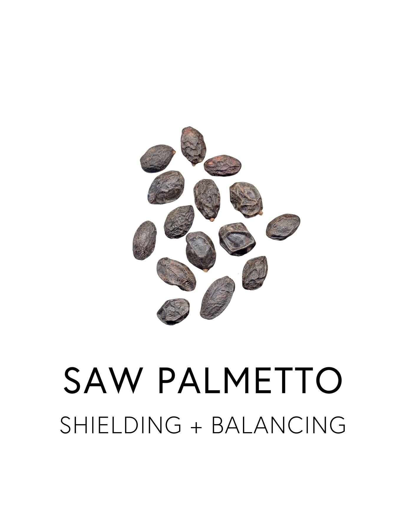  SAW PALMETTO 
 Saw Palmetto promotes stronger, denser hair by balancing DHT, the key hormone behind follicle-shrinking and shedding. Its lipid-rich berries help extends the hair’s natural growth cycle while balancing oil production and reducing foll