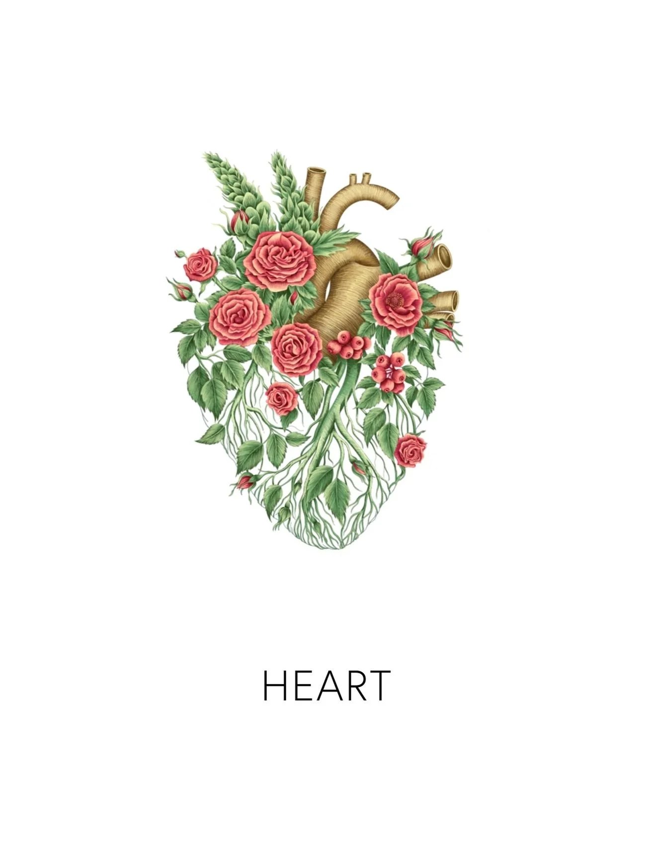  HEART  
 We offer 9 deeper biomarkers and labs to measure how well your body is detoxing. From environmental toxin levels to chemical reactivity screenings, these measurements give us real data into how your body's biotransformation pathways are fun