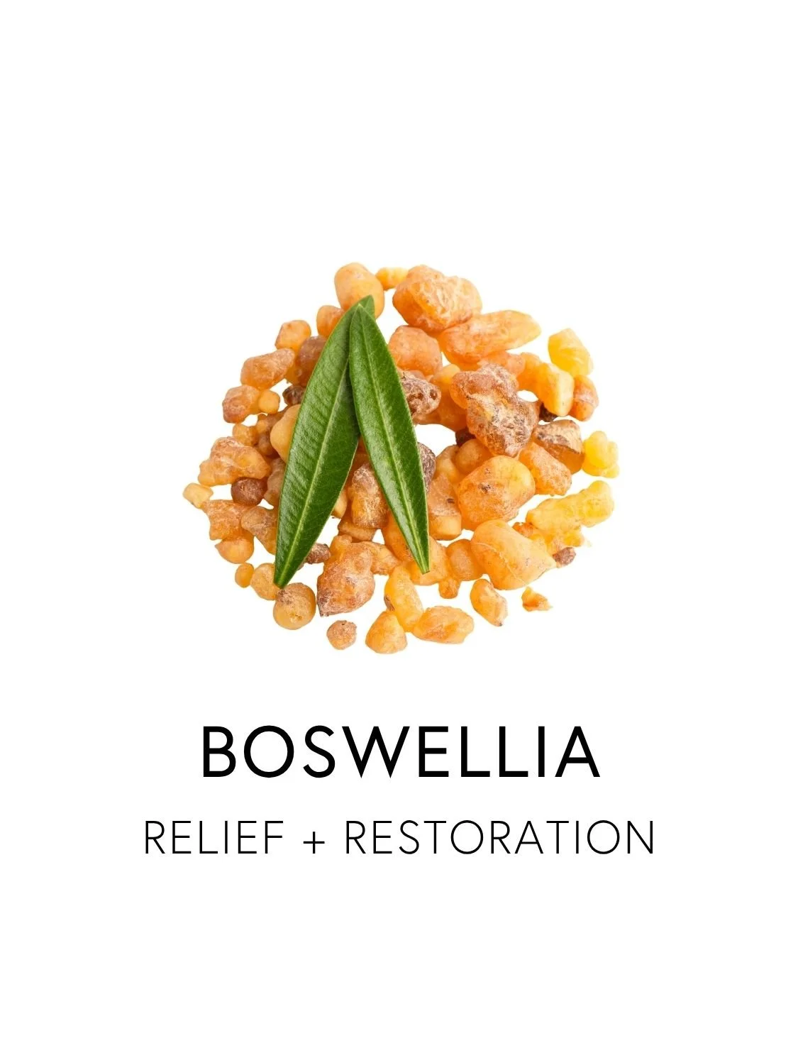  BOSWELLIA 
 Boswellia is a sacred tree resin prized for its ability to ease aches and pains by quieting inflammatory signals without dulling the body’s natural healing response. Its boswellic acids are studied for their ability to relieve soreness, 