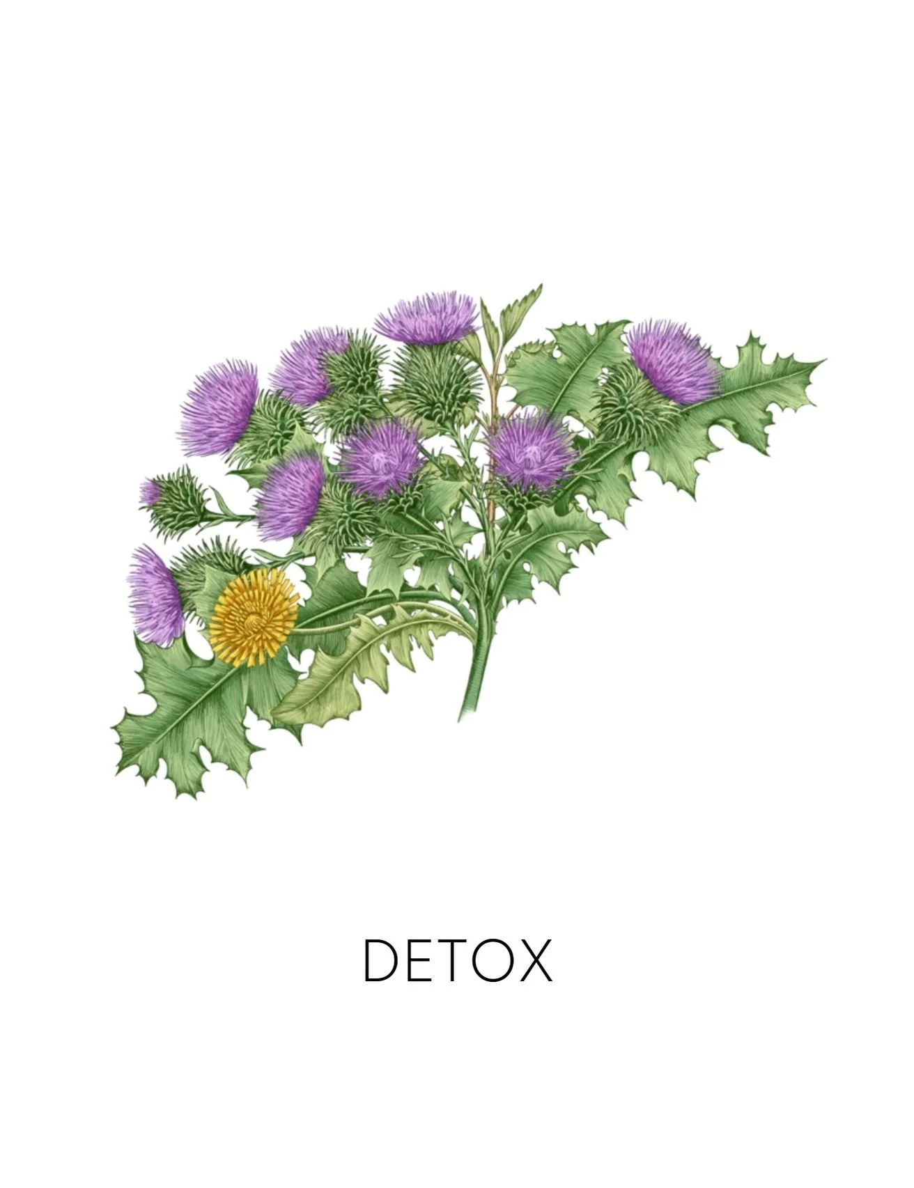  DETOX  
 We offer 9 deeper biomarkers and labs to measure how well your body is detoxing. From environmental toxin levels to chemical reactivity screenings, these measurements give us real data into how your body's biotransformation pathways are fun