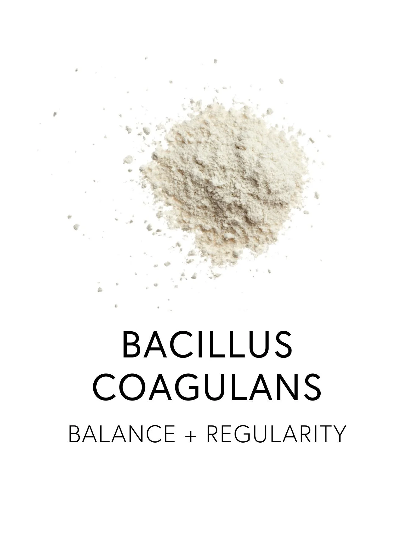  BACILLUS COAGULANS 
 Bacillus coagulans is a clinically validated probiotic that supports GI upset, occasional gas, bloating, constipation and diarrhea. Unlike many delicate probiotics, studies show up to 95% of Bacillus coagulans spores survive sto