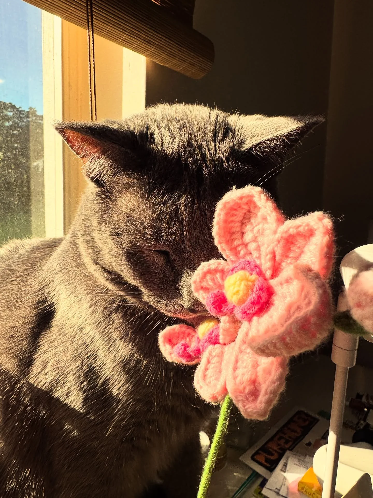 simple things lately