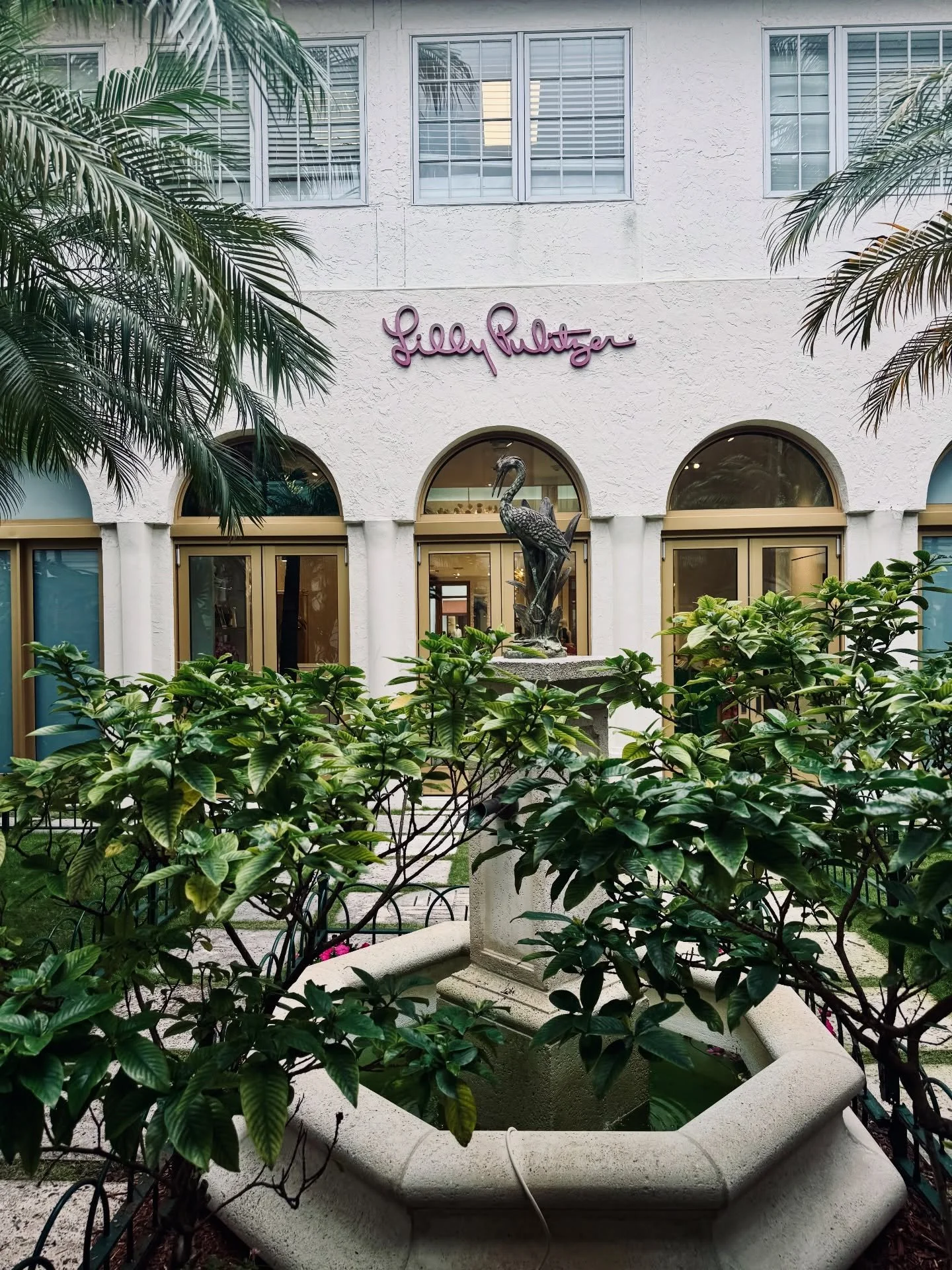 captures of the day 🤍