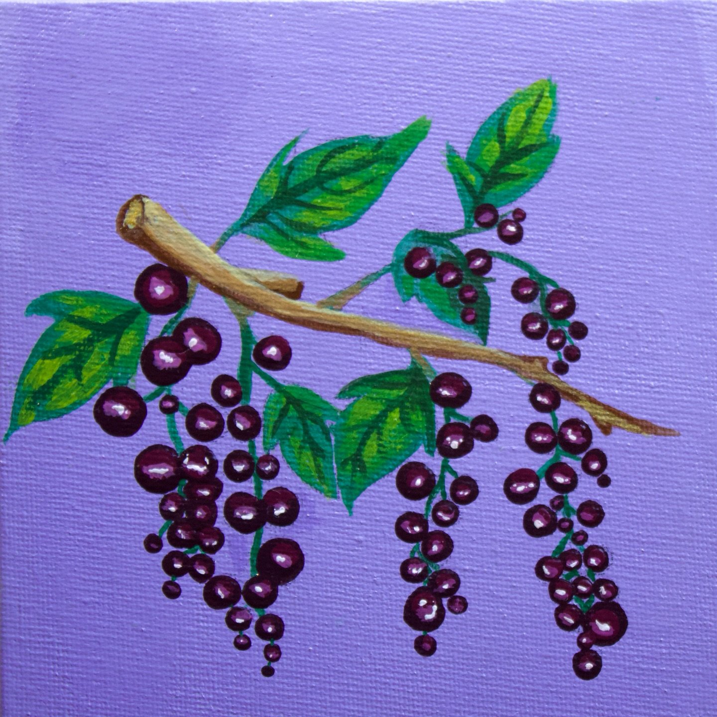 "Black Currents Still Life"

sold! 

final part of a mini commission series