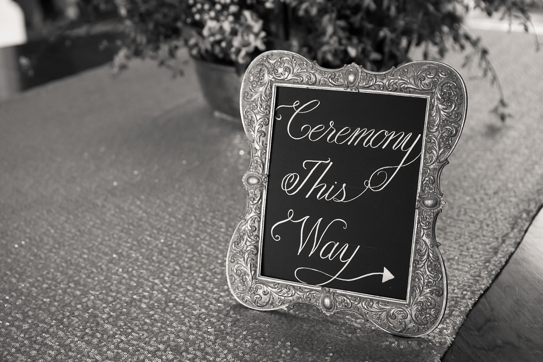Dee Organ Photography-726-IMG_7083.png