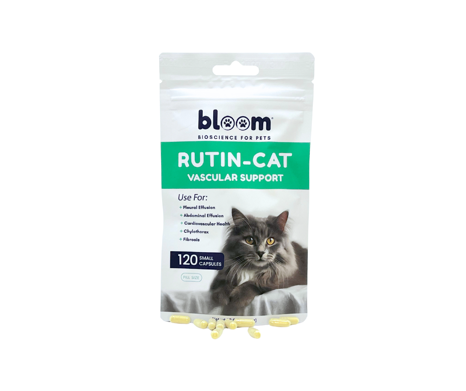 Bloom-Rutuin-For-cats-and-dogs-Pet-Supplements-1-1.png