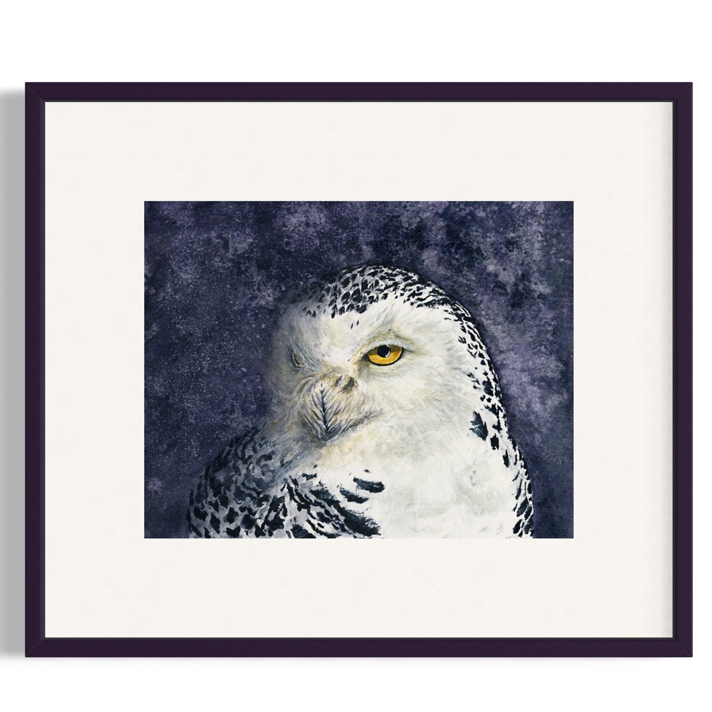 Night Owl