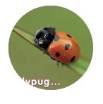 Image 2-22-25 at 3.36 PM.jpeg