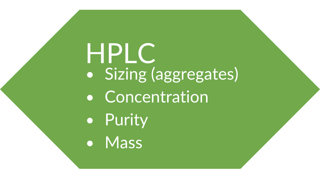 Protein Characterization — P.I CELKEM