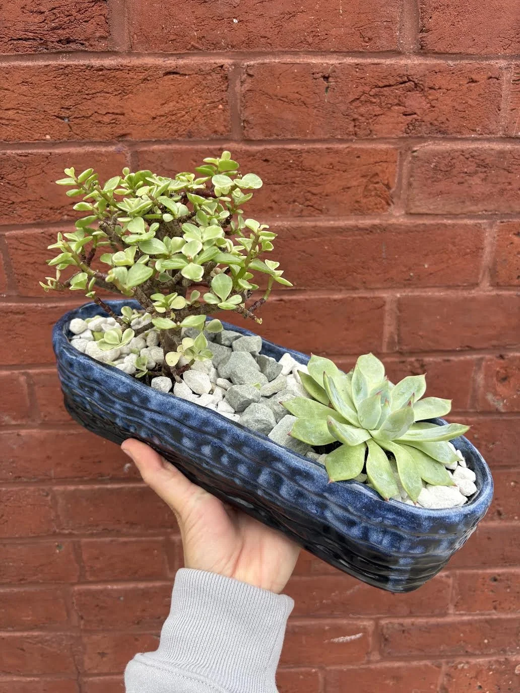 BabyFace Studio:
Hand-built planters
stoneware, cone 6, glaze