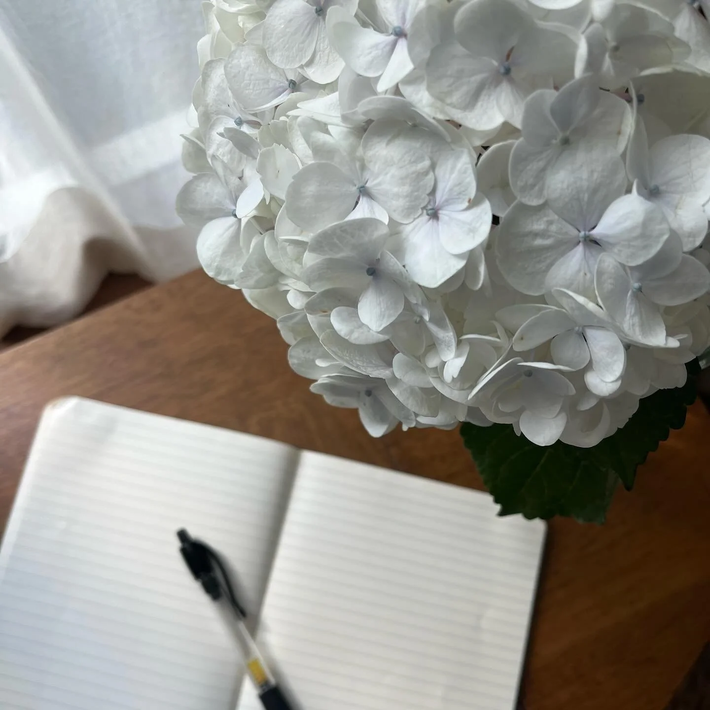 Happy first day of classes! This is your sign to treat yourself to a fresh notebook and a bouquet of flowers :)