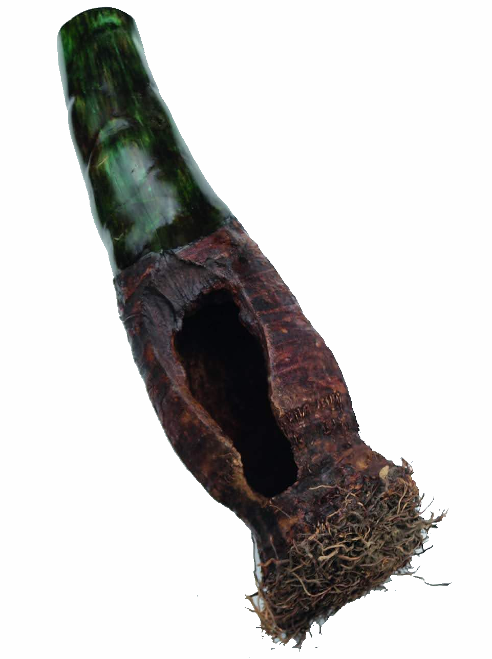  Huellas  Agave stem, dried agave flower, tar, and acrylic paint 80 cm  (31.5 in)