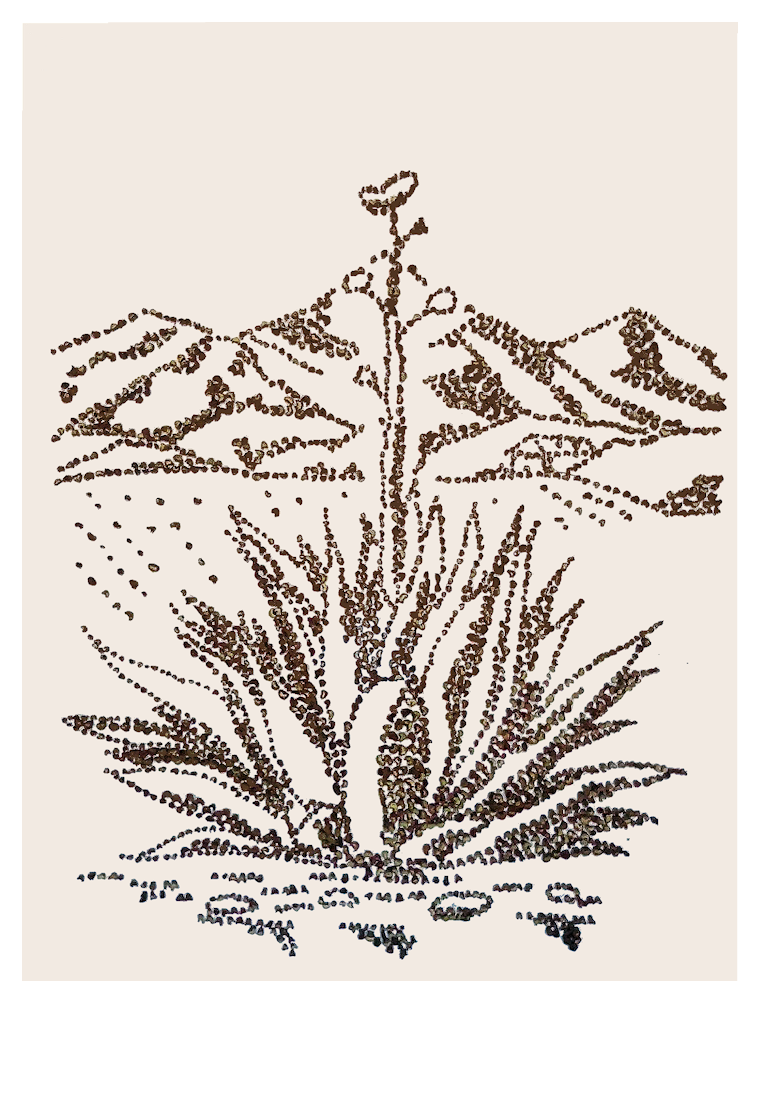  Chahuarquero   Agave thorns on canvas 70 cm x 50 cm (27.6 in x 19.7 in)