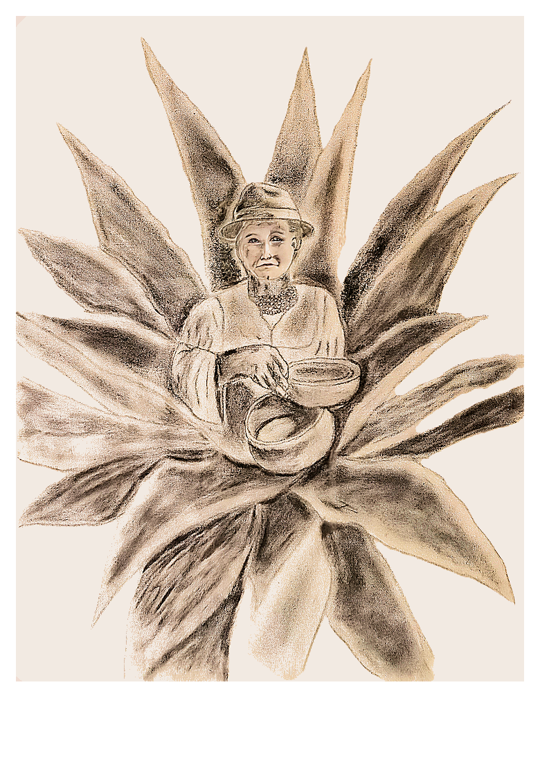  Chawadora  Agave charcoal on canvas 70 cm x 50 cm (27.6 in x 19.7 in)