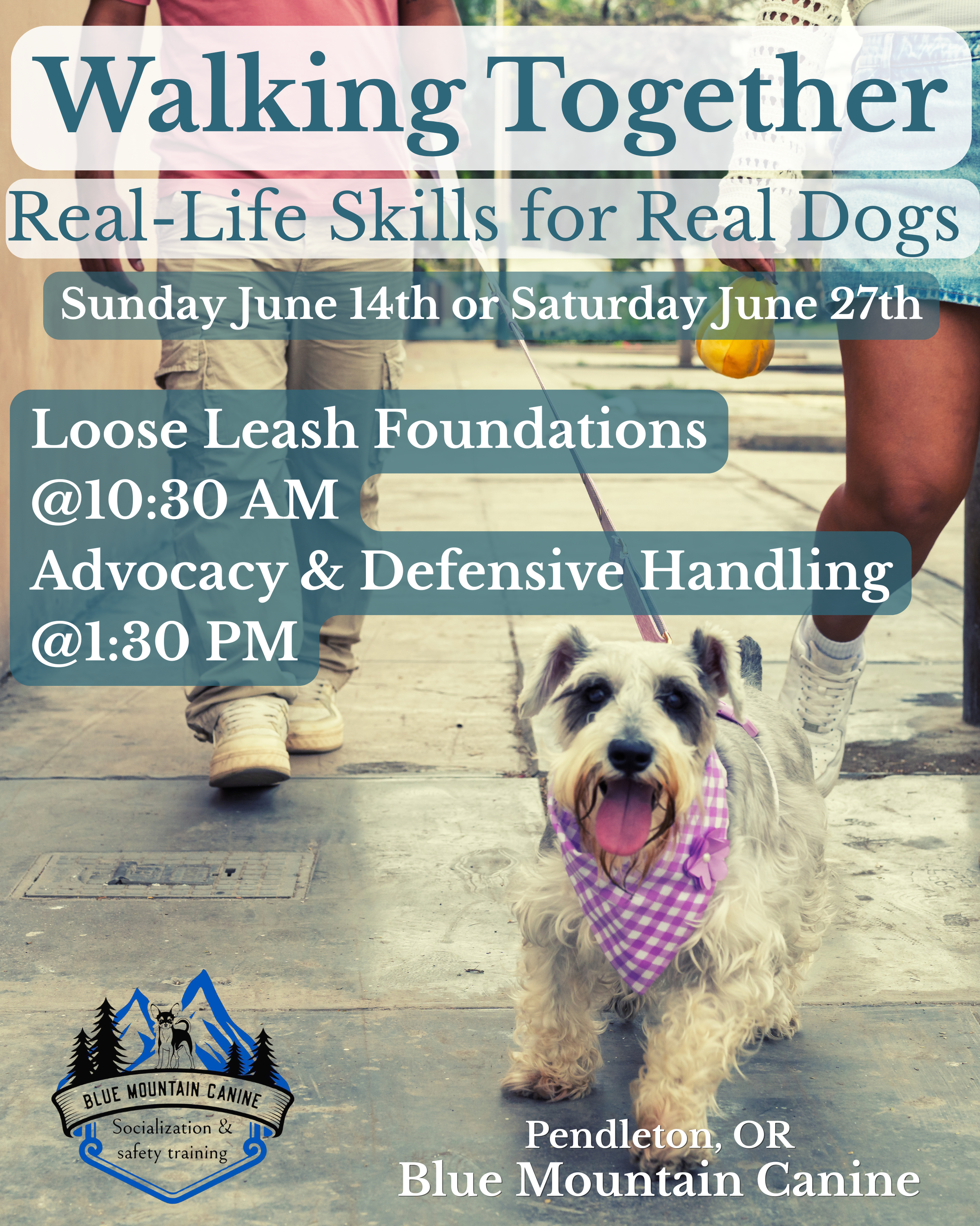 Walking Together: Real-Life Skills for Real Dogs