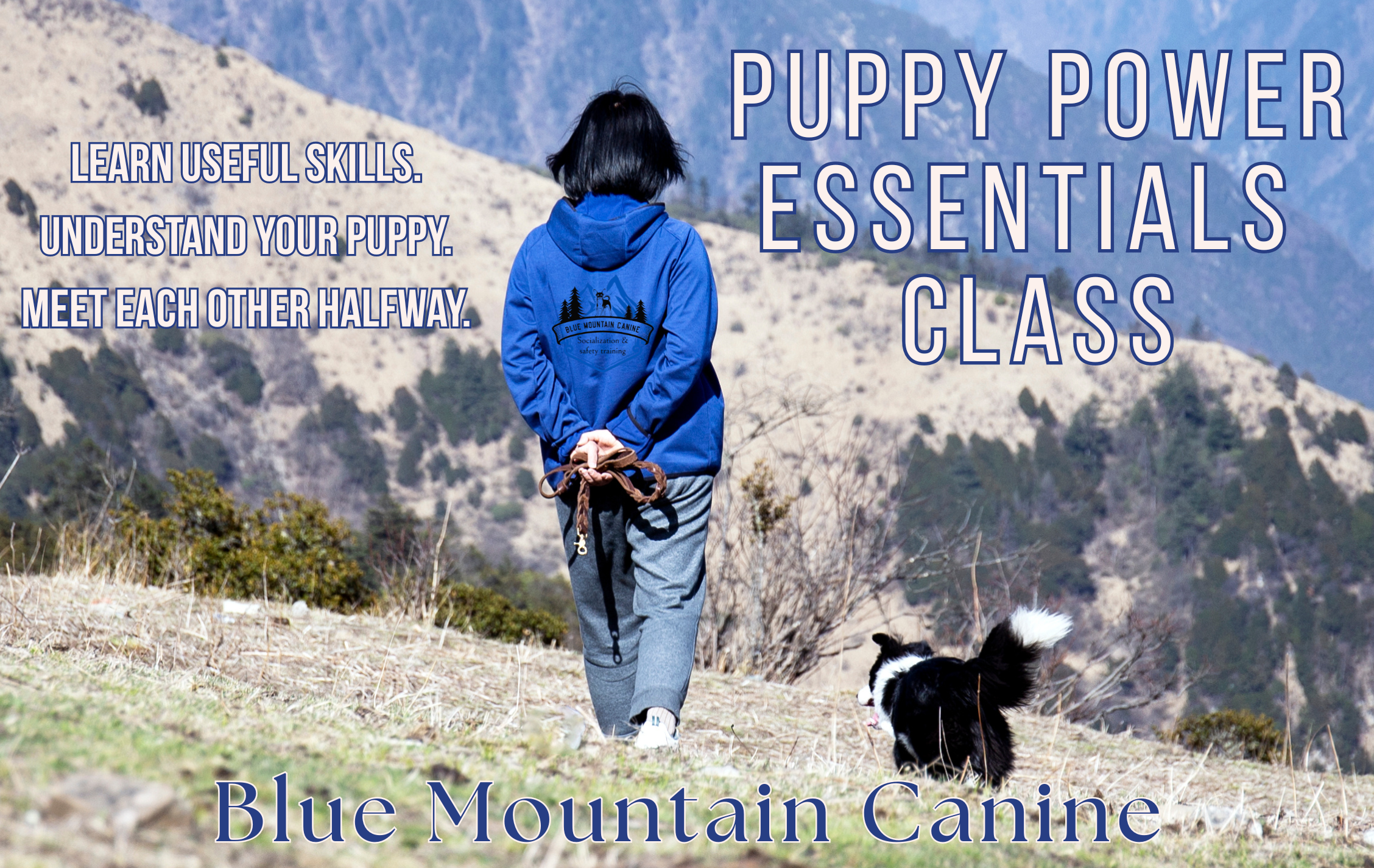 Puppy Power Essentials
