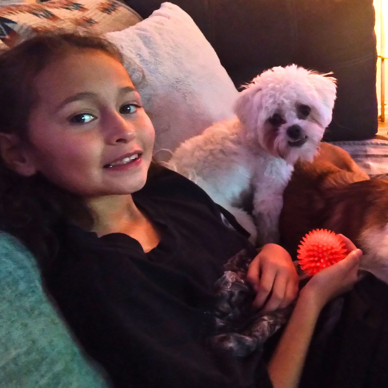 A young kid playing with a dog