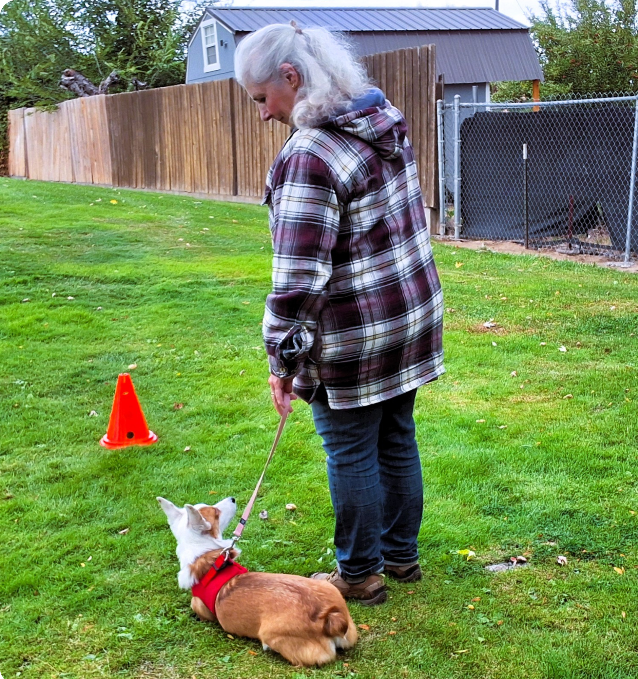 A woman and her dog in a training session at a park