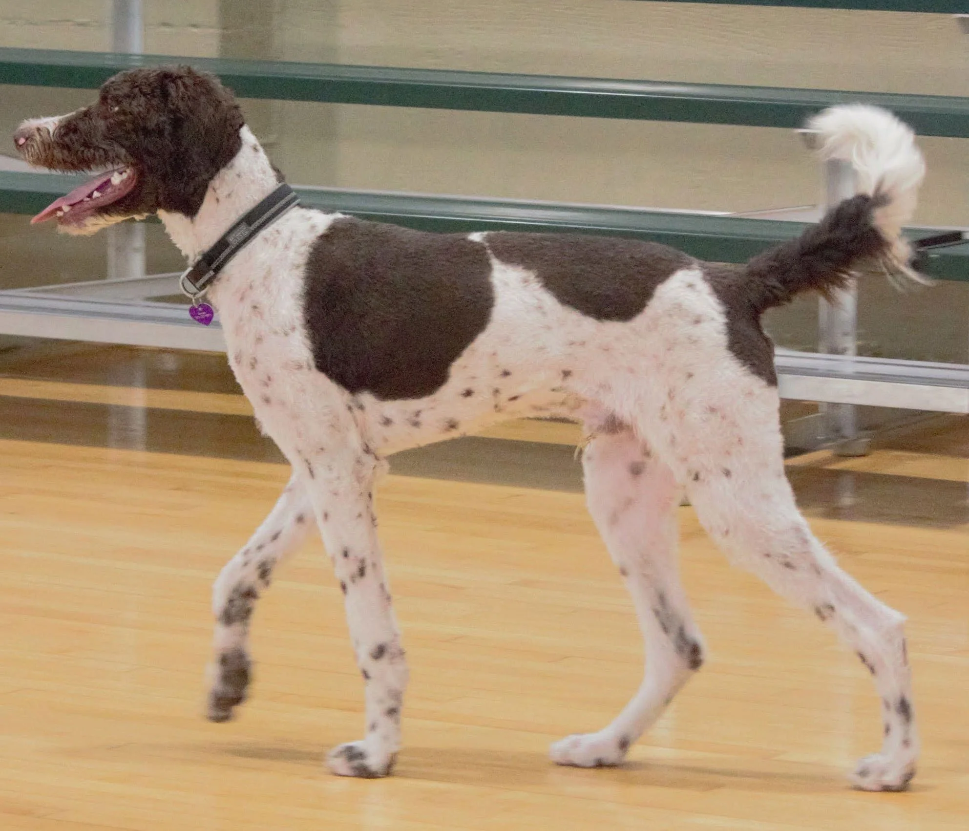 Homepage Testimonials JohnC (NEW).jpeg