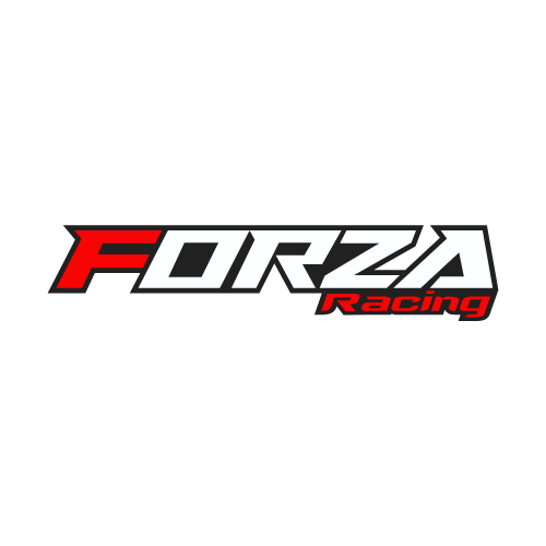 forza racing