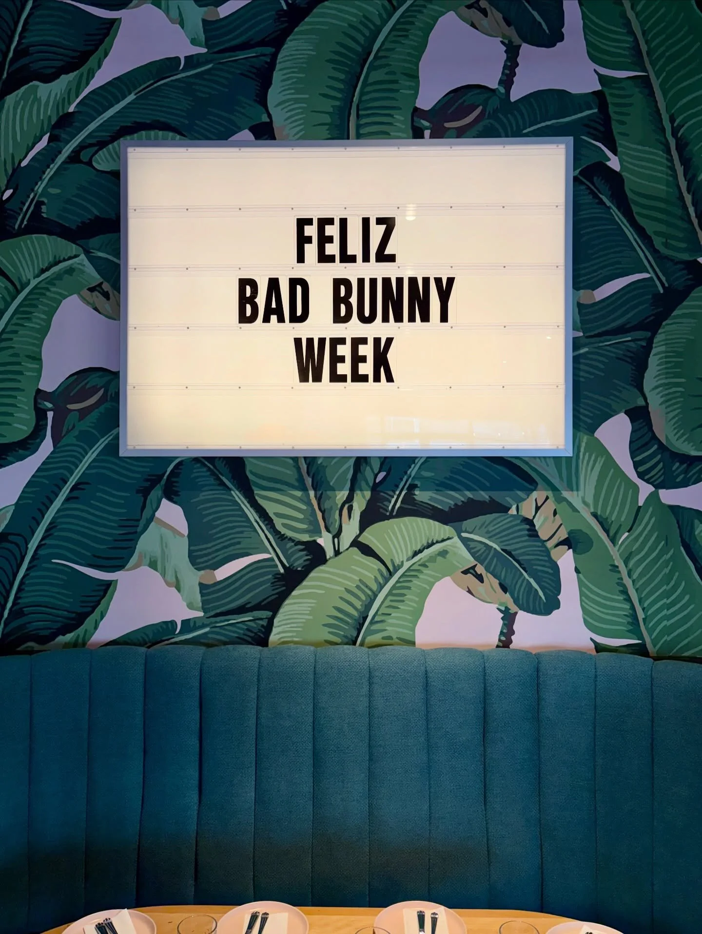 Gearing up for El Conejo Malo! Happy Bad Bunny week to all who celebrate! So ready for America to see some Latino fun🐰🎶 &mdash; swipe left to see Bad Bunny at Catira 😉
&bull;
&bull;
&bull;
&bull;
&bull;
#badbunny #superbowl #superbowlsunday #halft
