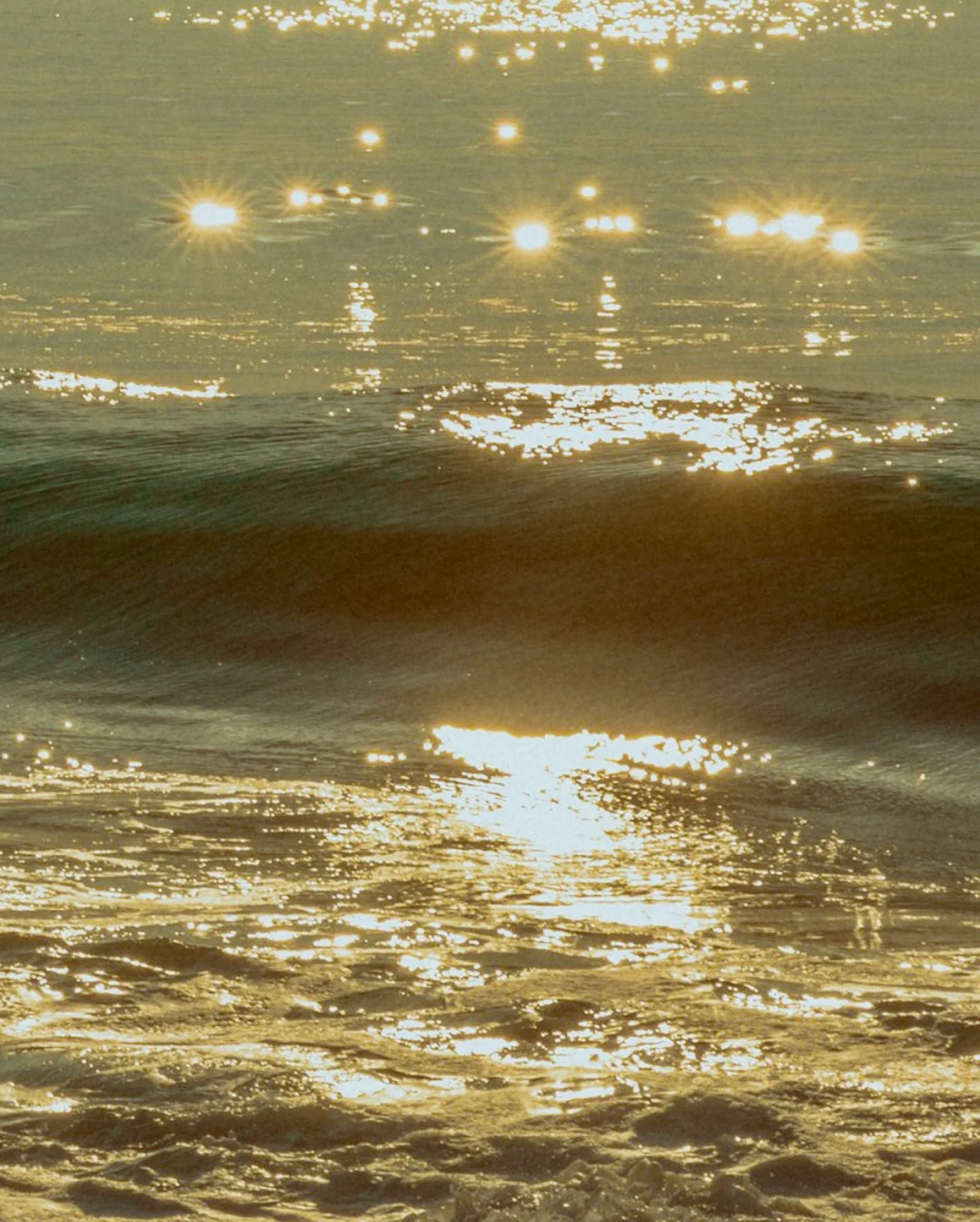 A collection of moments scattered like shells on the beach 🐚