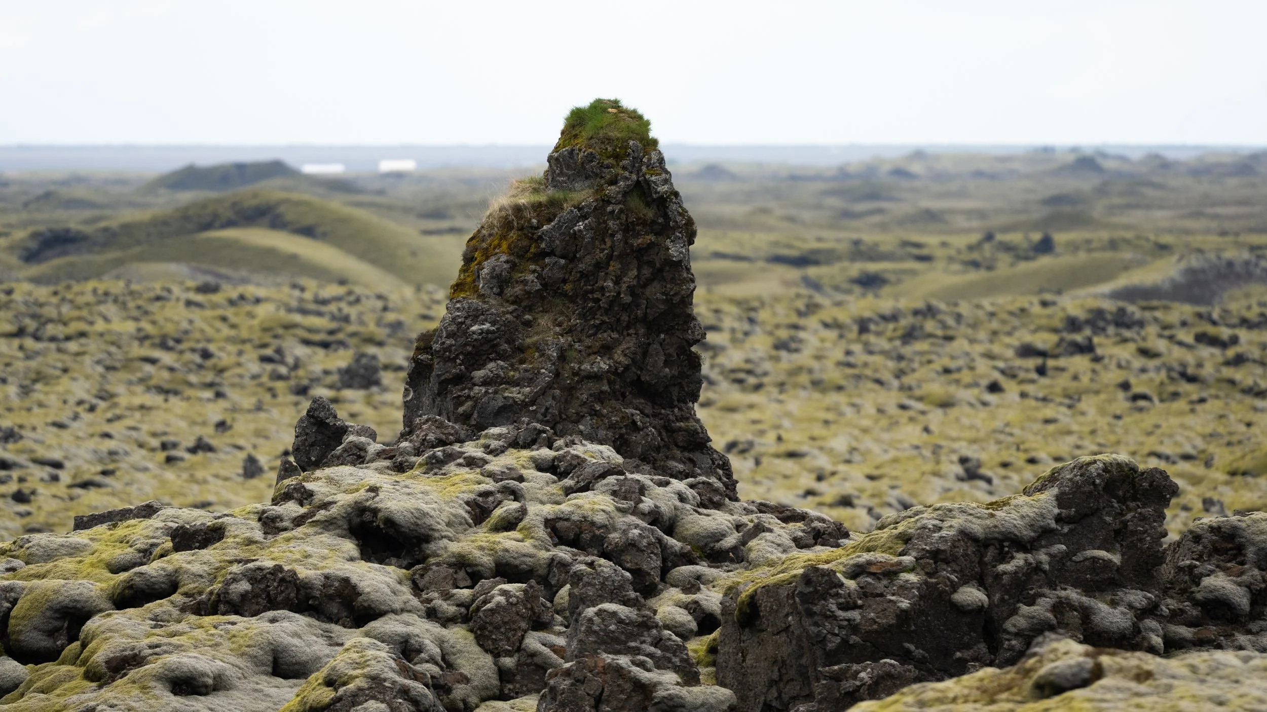 scenicgreen2-1.jpg