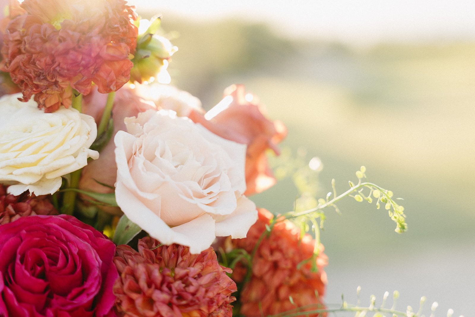 Photo Credit: @photosbymadzz