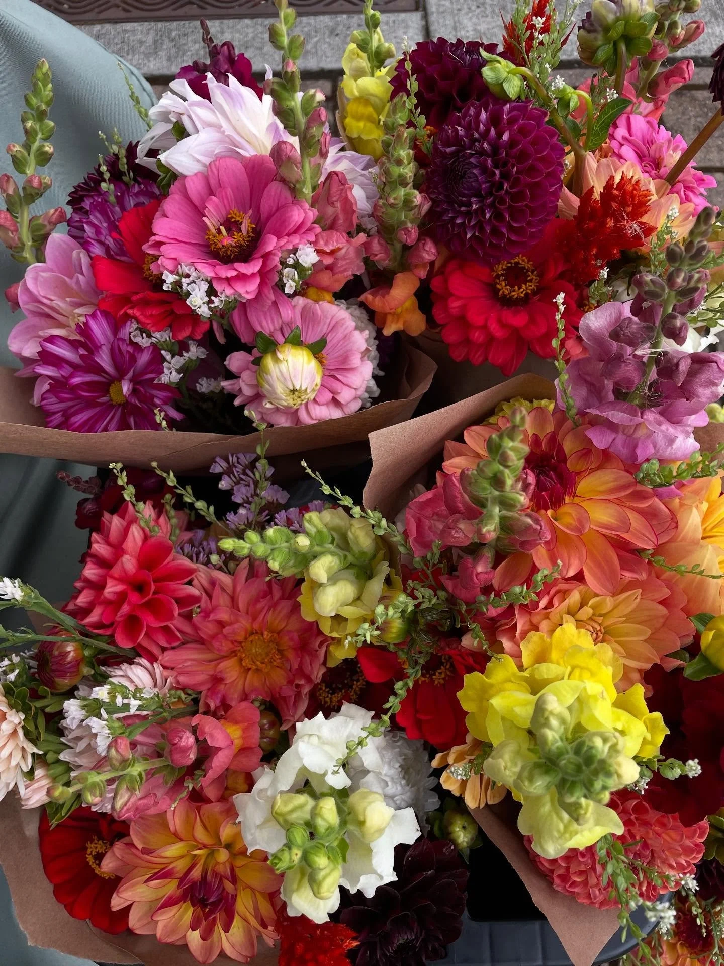 Summer color in full effect!