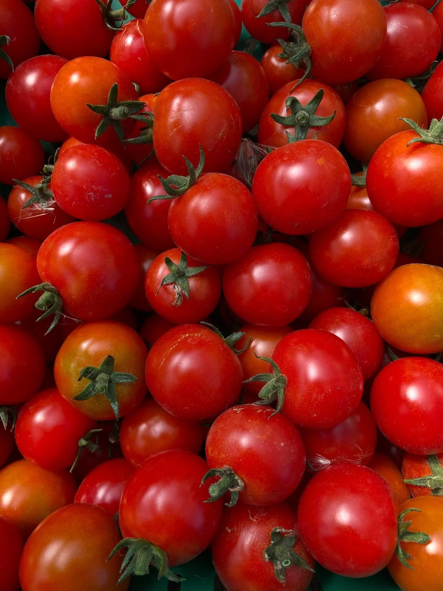 Get some delicious cherry tomatoes! @sequimmarket