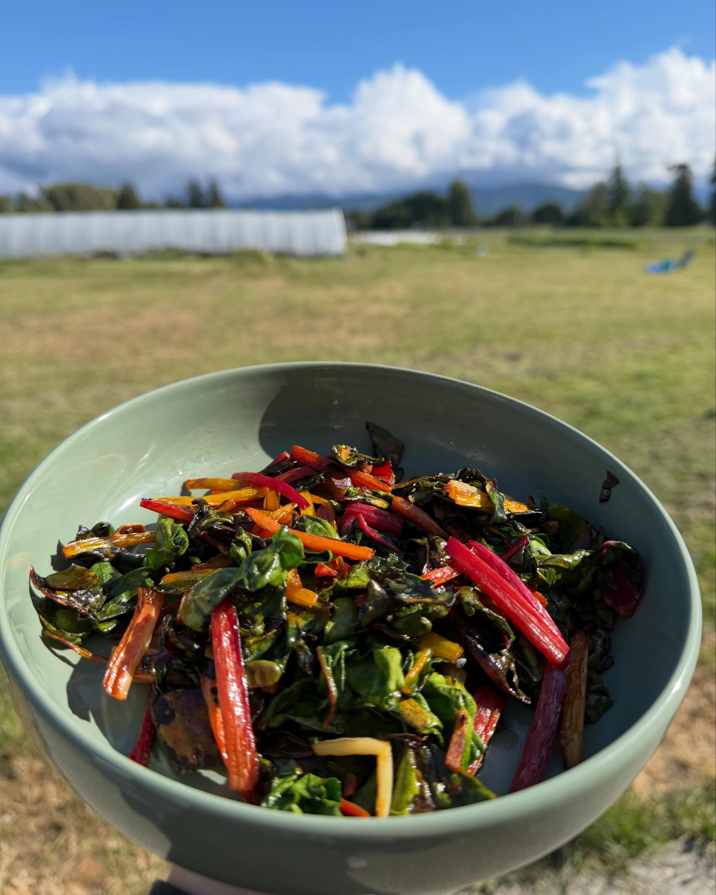 Rainbow chard to top off market day. Thank you to everyone who came out! @sequimmarket