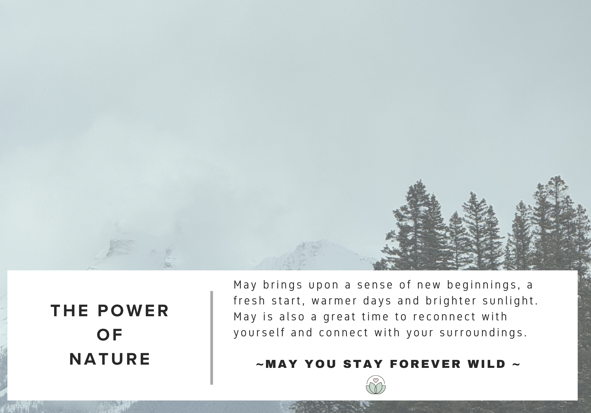 May: A Time to Reconnect With Yourself In Your Healing Journey