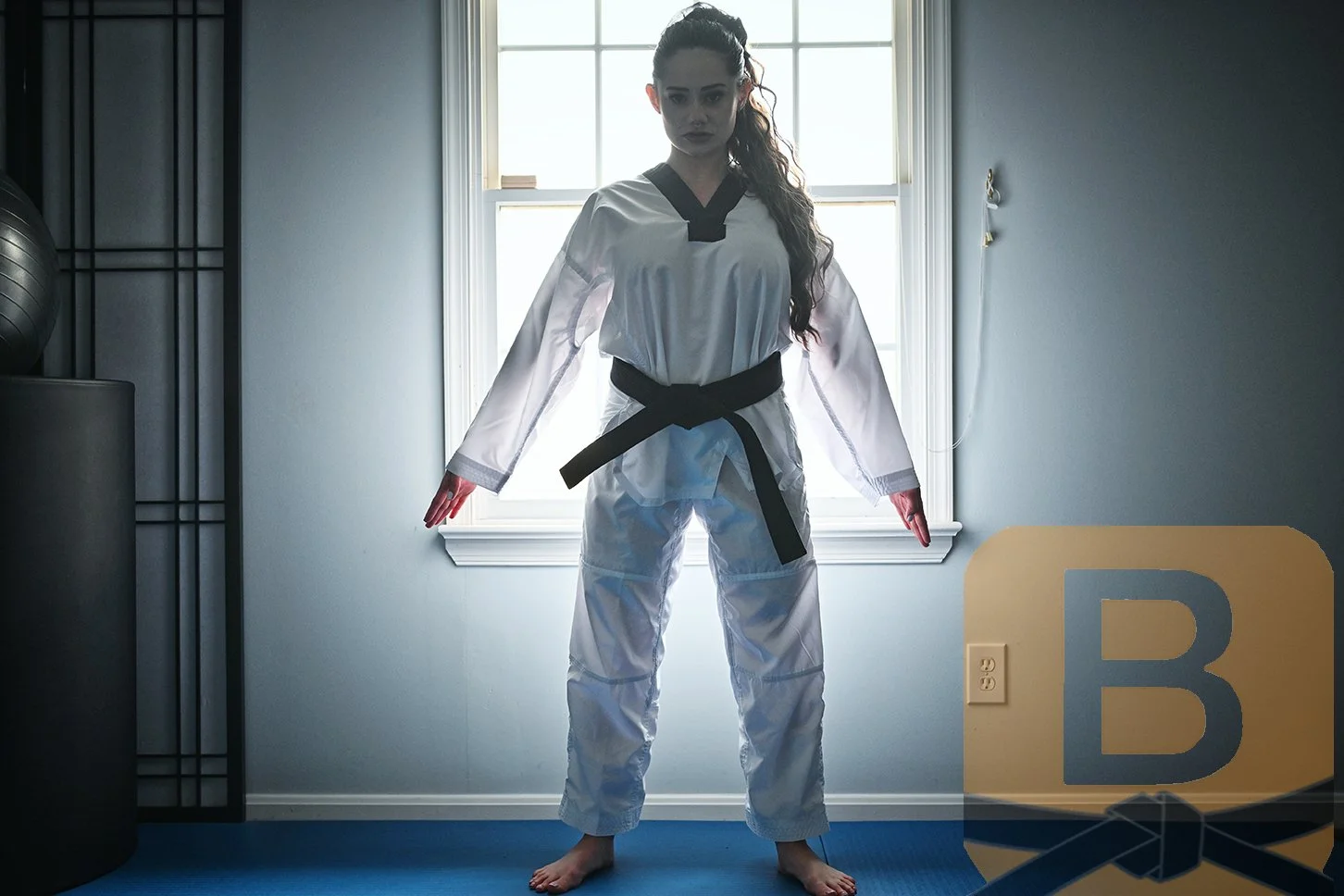 Back Lit Dojang