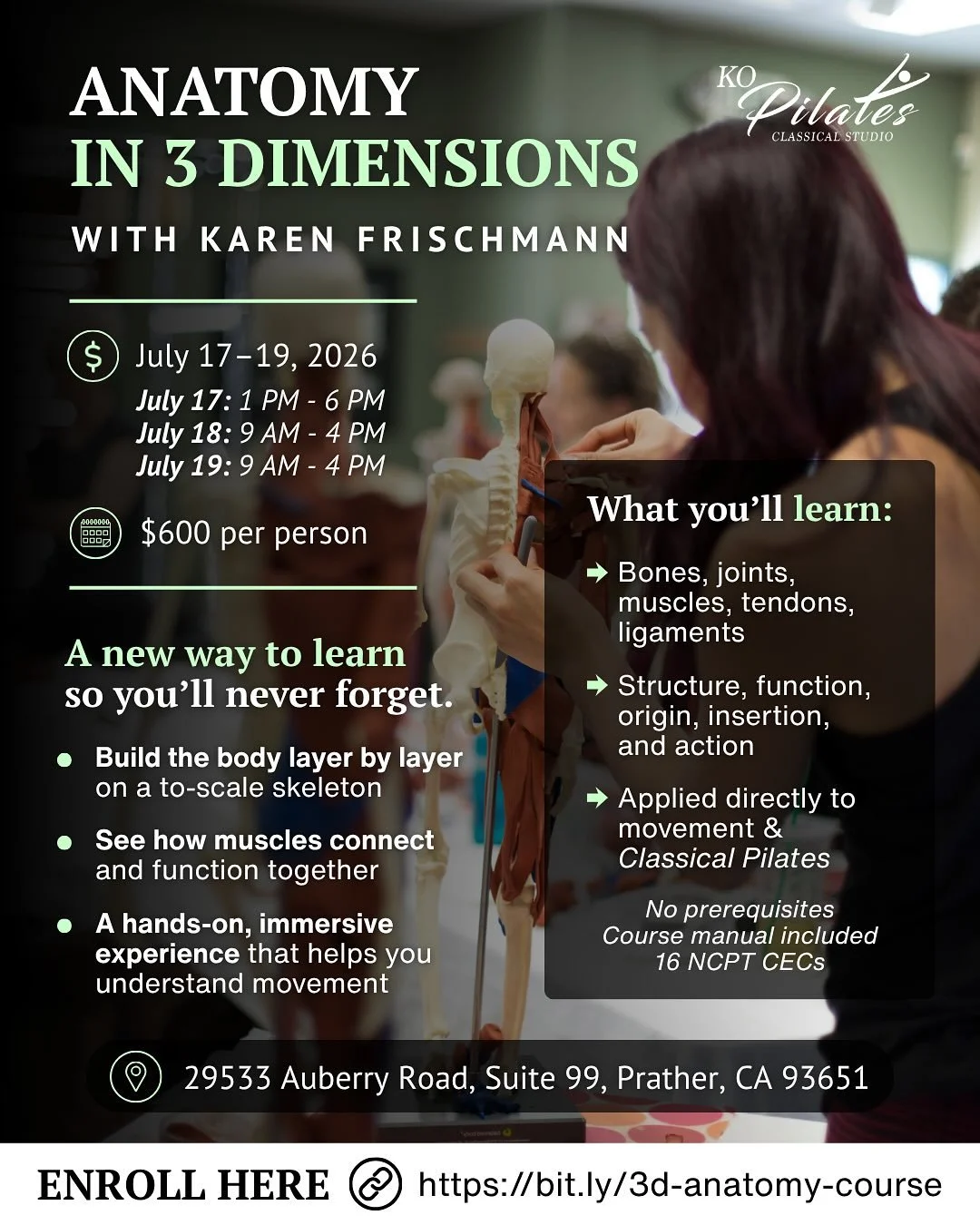 A rare opportunity to learn directly from Karen Frischmann this July at KO Pilates!

Join Karen for Anatomy in 3 Dimensions, an immersive hands-on anatomy experience, and book a private session for personalized one-on-one training and deeper connecti