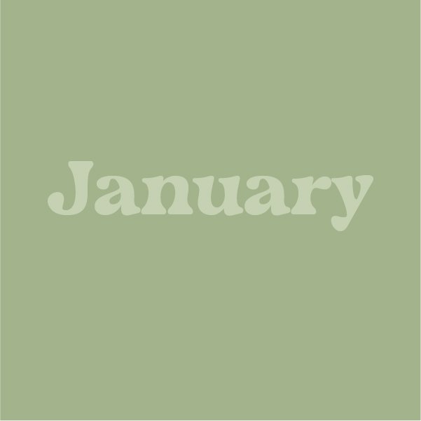 JanuaryArtboard 1 copy 2@3x-100.jpg