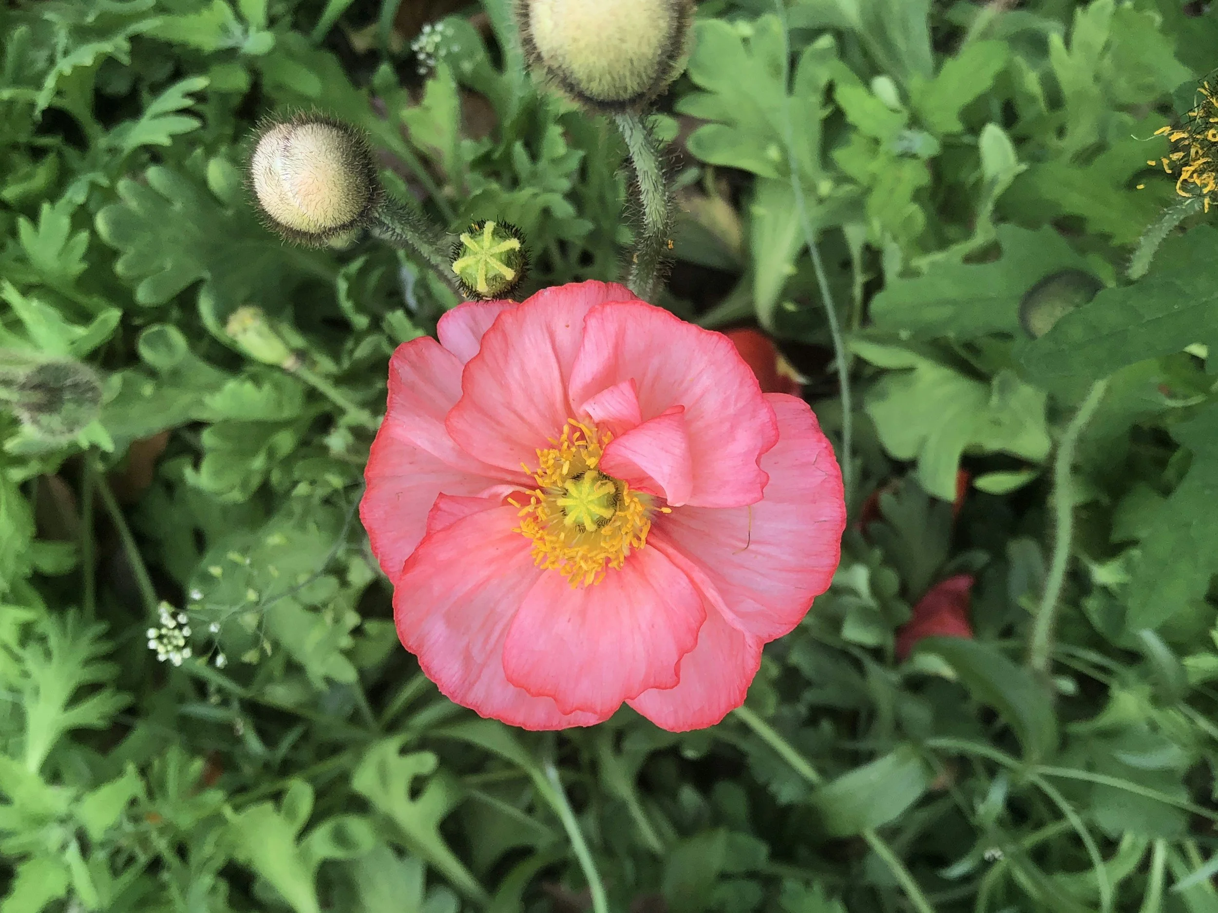 Just Take A Little Time