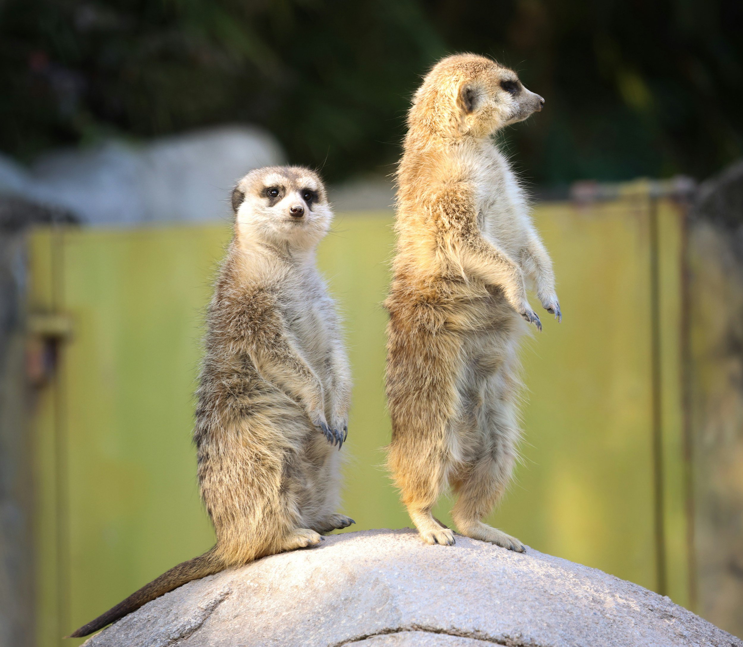 The Art of Holding Space