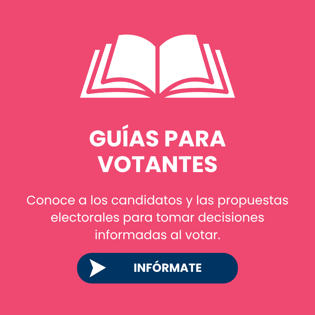 Guias Para Votantes