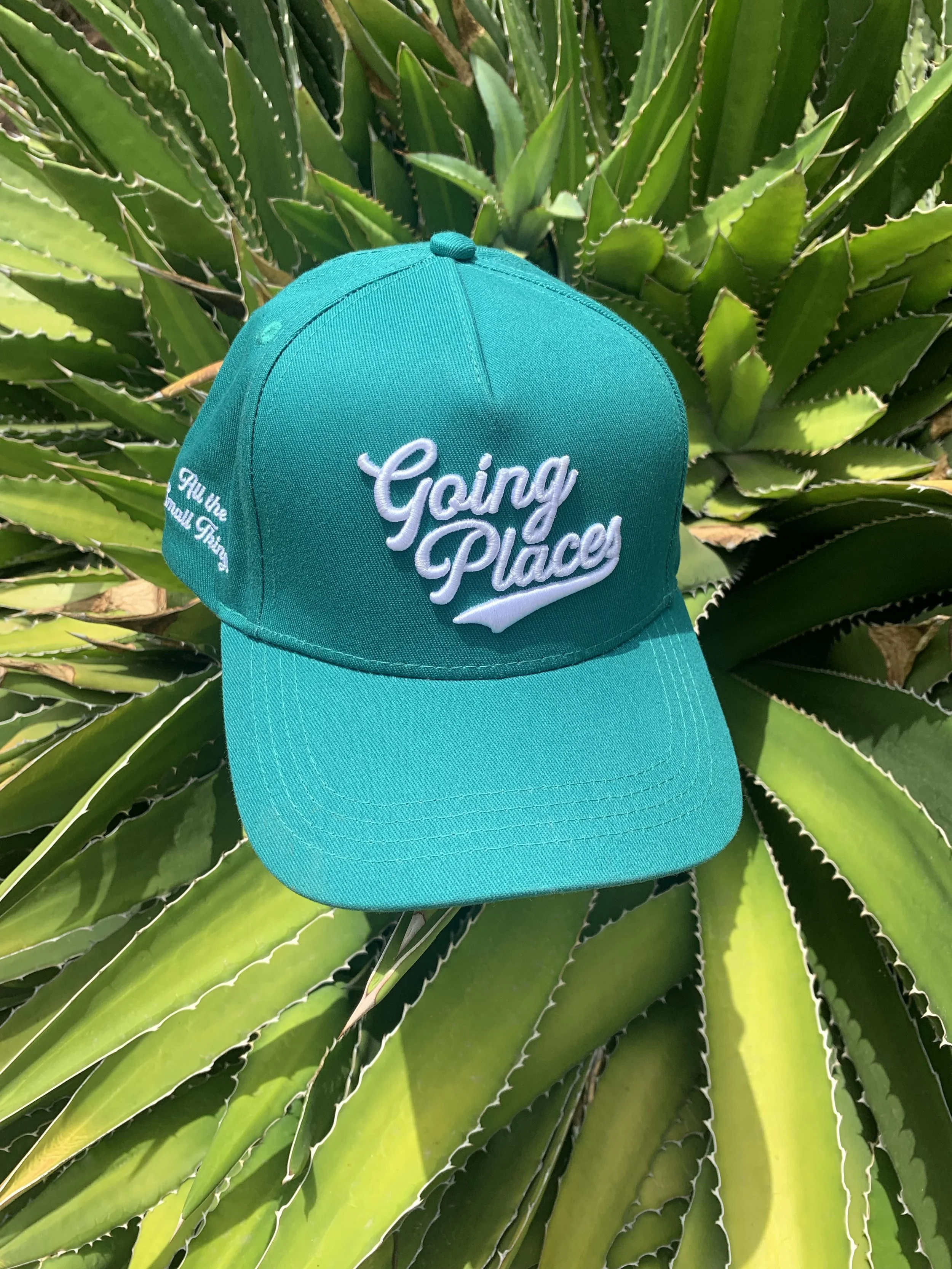 SMALLZ green going places cap outdoors