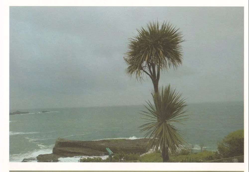 image 13.jpg